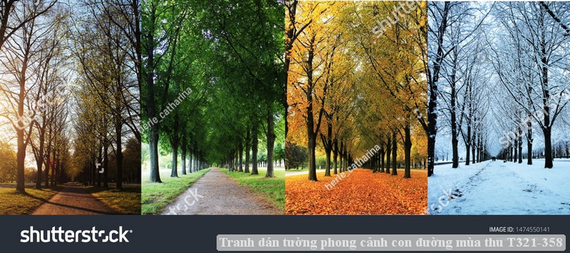 Tranh dán tường phong cảnh con đường mùa thu T321-358